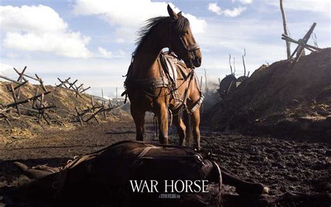 moviesjoy war horse